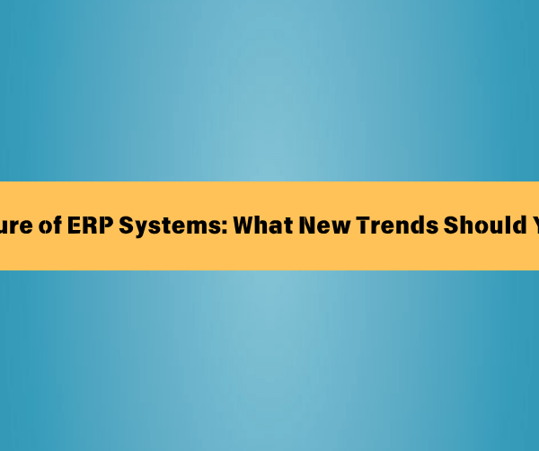 The Future of ERP Systems: What New Trends Should You Follow?