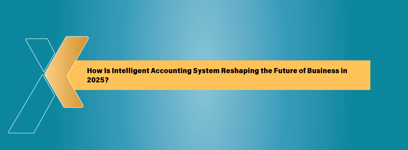 acounting system erp