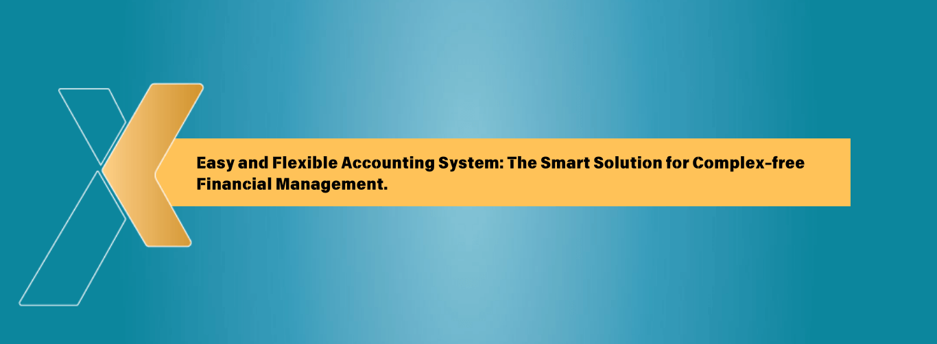 Easy and Flexible Accounting System