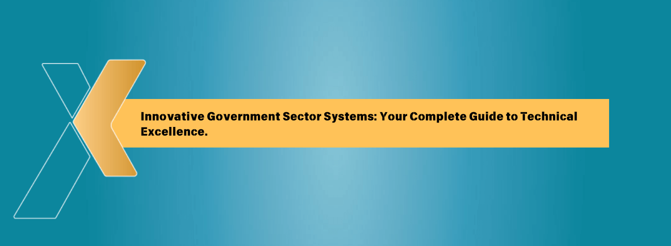 Innovative Government Sector Systems