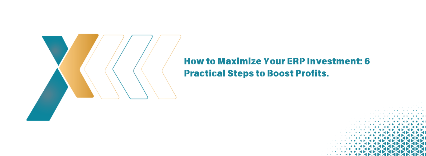 How to Maximize Your ERP Investment 6 Practical Steps to Boost Profits How to Maximize Your ERP Investment 6 Practical Steps to Boost Profits